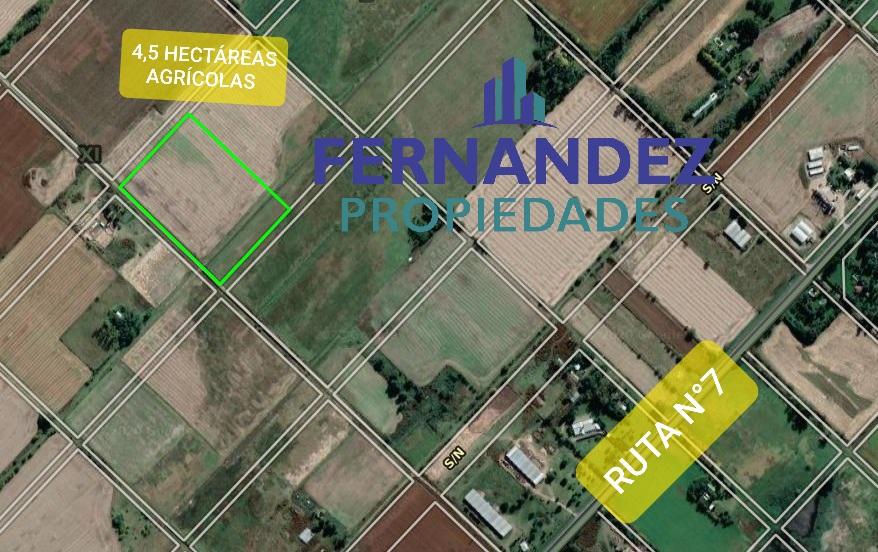 EN VENTA 4,5 HECTÁREAS AGRÍCOLAS, A 300 METROS DE RUTA N°7. CHACABUCO.- COD. 156